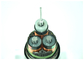 AL / XLPE / STA / পিভিসি সাঁজোয়াযুক্ত বৈদ্যুতিক কেবল তিন ফেজ অ্যালুমিনিয়াম কন্ডাকটর এক্সেলপিই ইনস্যুলেশন উচ্চ ভোল্টেজ কেবল সরবরাহকারী