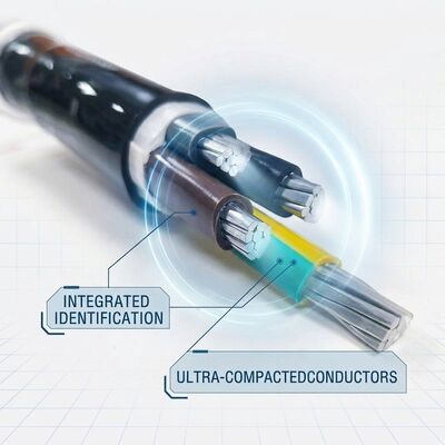 চীন LSZH 7x1.5mm2 PVC Insulated Control Cable Halogen Free Subway 450/750V IEC60228 সরবরাহকারী