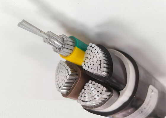 RVV 2x2.5mm2 Flexible Oxygen-Free Copper PVC Insulated Sheathed Cable for Home Appliance 300/500V সরবরাহকারী