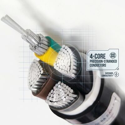 Waterproof Moisture Resistant PVC Insulated Cable 0.6/1kV 2 Core 2x4mm2 Outdoor Wet Area সরবরাহকারী