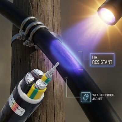 NYM 3x2.5mm2 UV Resistant PVC Insulated Cable Outdoor Lighting 450/750V IEC60228 সরবরাহকারী