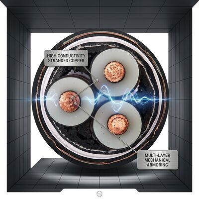 40 বছর সেবা জীবন এক্সএলপিই বিচ্ছিন্ন ডাবল স্টিল টেপ বর্মযুক্ত তারের 0.6 / 1kV সরবরাহকারী