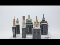 XLPE ইনসুলেটেড কালো পিভিসি পাওয়ার ক্যাবল কপার/অ্যালুমিনিয়াম কন্ডাক্টর