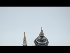 600V কপার পিভিসি সাঁজোয়া বৈদ্যুতিক তার