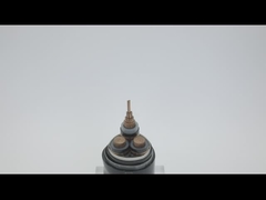 AWA SWA সাঁজোয়া তামা 100 মিটার দৈর্ঘ্যের পিভিসি শীথড স্ট্র্যান্ডেড কেবল