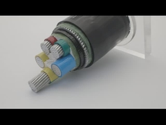 AWA SWA সাঁজোয়া তামা 100 মিটার দৈর্ঘ্যের পিভিসি শীথড স্ট্র্যান্ডেড কেবল