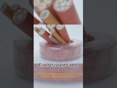 0.6 / 1kV CU / XLPE LOZH ফায়ার রেজিস্ট্যান্ট কেবল ইনডোর / আউটডোর বৈদ্যুতিক তার