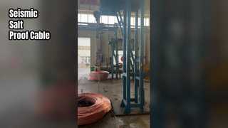 Shenghua 26 35kV কেবল সিসমিক সল্ট ইমিউন